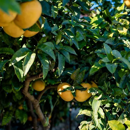 펜션 Borgo Pasqui 디아노마리나