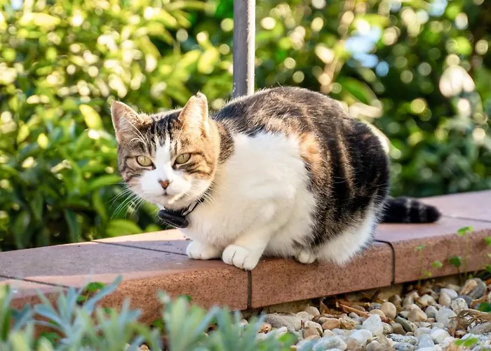 Borgo Pasqui 펜션 디아노마리나